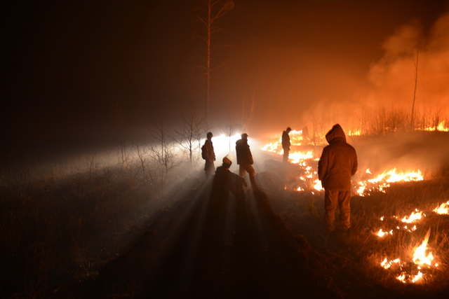 Пожар в бору тушили всю ночь. Фото В. Кирилюка