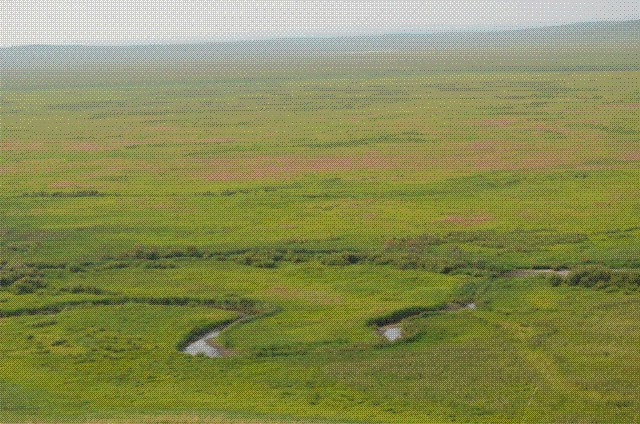 Широкая пойма р. Улдза в окрестностях г. Ил-Турут, август, 2015.