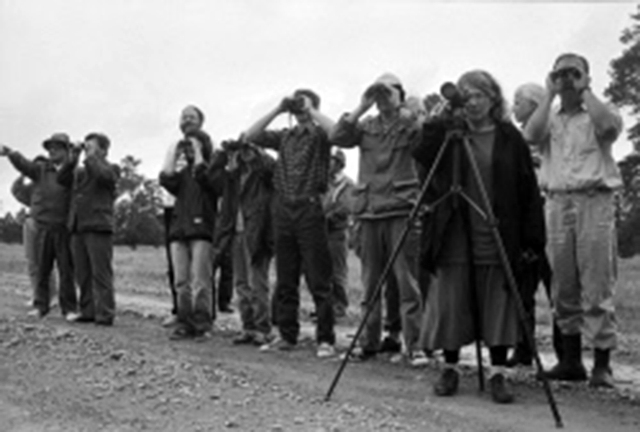 Участники совещания по организации международного заповедника. Фото tassphoto.com